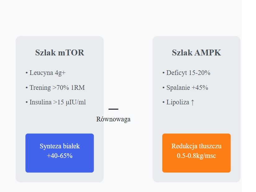 Budowa mięśnie na redukcji